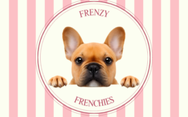 frenzyfrenchie.com